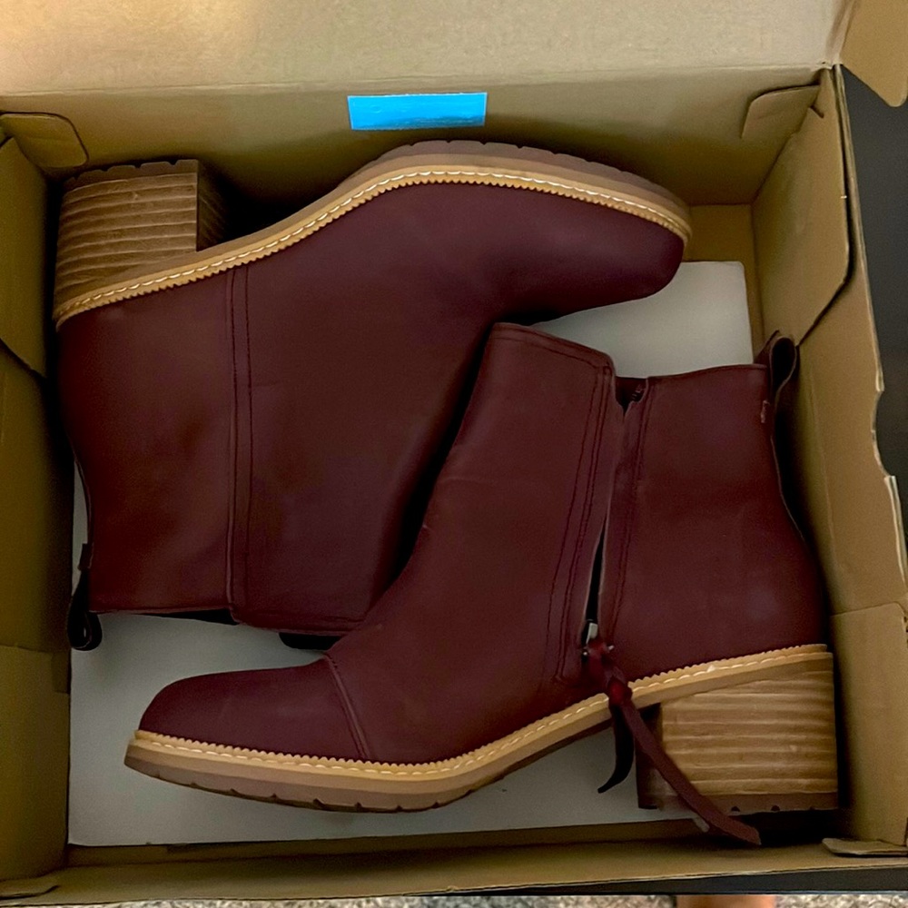 ♥️Beautiful Toms🥰